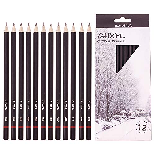 Professional Drawing Sketch Pencils Set, 12 Pieces Drawing Pencils, 8B