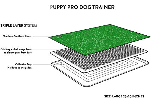 KCHEX Grass Toilet Trainer Tray for Dogs and Puppies Large 20 x 25 Inch. Training Grass Pee Pad for Indoor, Outdoor Use, Porches, Apartments and Houses Grass Turf Mat