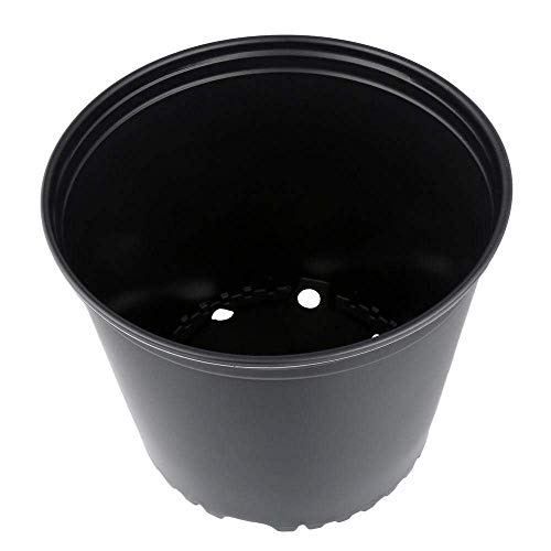 KCHEX 3 Gallon Nursery POTS Outdoor Vegetable Flower Plant Plastic Pot Garden 10 Pack