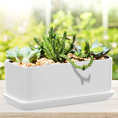 COLIBYOU 10 inch Rectangular White Ceramic Succulent Planter: Modern Design Pot Includes Fitted Saucer with Drain Holes