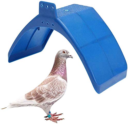 COLIBYOU 20pcs Dove Rest Stand Frame Grill Dwelling Pigeon Perches Roost Bird Supplies Blue Color