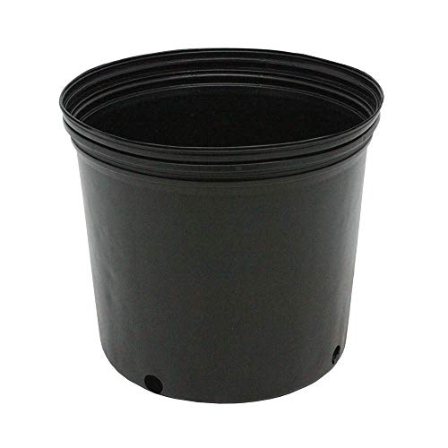 KCHEX 3 Gallon Nursery POTS Outdoor Vegetable Flower Plant Plastic Pot Garden 10 Pack