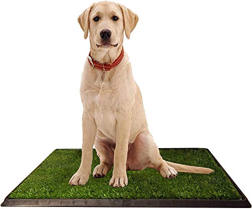 KCHEX Grass Toilet Trainer Tray for Dogs and Puppies Large 20 x 25 Inch. Training Grass Pee Pad for Indoor, Outdoor Use, Porches, Apartments and Houses Grass Turf Mat