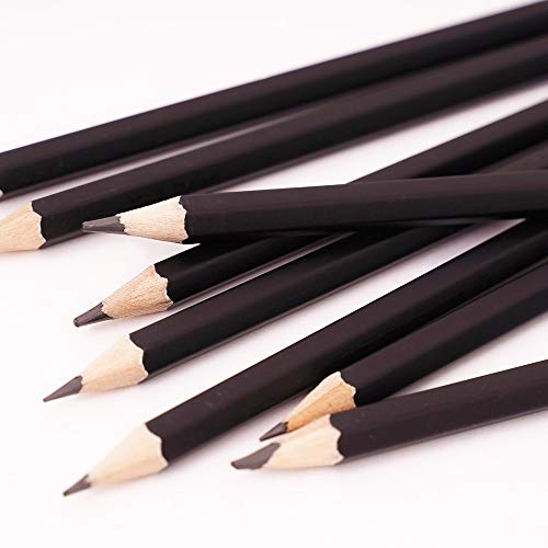 Professional Drawing Sketch Pencils Set, 12 Pieces Drawing Pencils, 8B,7B, 6B, 5B, 4B, 3B, 2B, B, HB,…