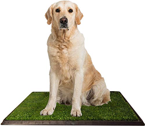 KCHEX Grass Toilet Trainer Tray for Dogs and Puppies Large 20 x 25 Inch. Training Grass Pee Pad for Indoor, Outdoor Use, Porches, Apartments and Houses Grass Turf Mat