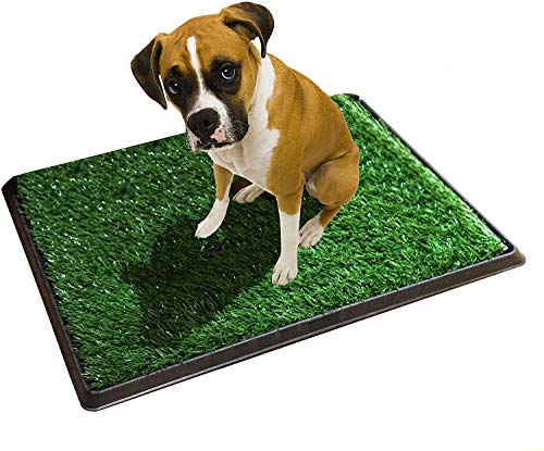 KCHEX Grass Toilet Trainer Tray for Dogs and Puppies Large 20 x 25 Inch. Training Grass Pee Pad for Indoor, Outdoor Use, Porches, Apartments and Houses Grass Turf Mat