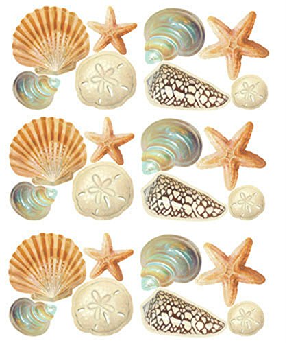 COLIBYOU Wallies Shells Wall Stickers 24 Decals Bathroom Decoration Seashells Ocean Beach