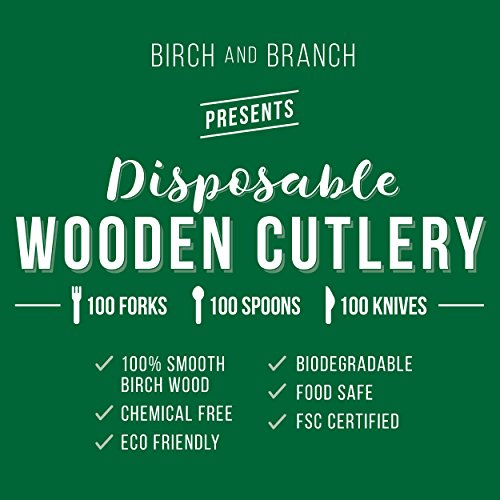 COLIBROX Premium Wooden Disposable Cutlery 300 pc Set | 100 Forks, 100 Spoons, 100 Knives | Eco Friendly, Biodegradable & Compostable Cutlery | 100% Smooth Birch Wood | Best Alternative to Plastic Utensils