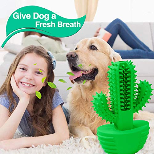 COLIBYOU Dog Toothbrush Teeth Cleaning Dog Chew Toys, Nontoxic Natural Rubber Puppy Brushing Stick Dental Oral Care for 15-50 LBS Small Medium Dogs Pets