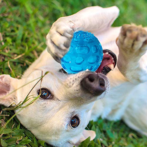 Toysdone 3.2 Inch Durable Pet Dog Balls Toys Rubber, Squeak Dog Ball, Indestructible Dog Toy Ball, Interactive Toy for Training Playing, Blue