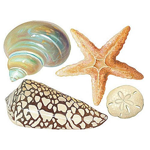 COLIBYOU Wallies Shells Wall Stickers 24 Decals Bathroom Decoration Seashells Ocean Beach