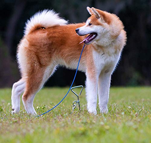 KCHEX Training Solutions Stake and Tie Out Combo for Dogs | 20ft. Cable Leash Pet Tether System Blue | 18" Spiral Stake