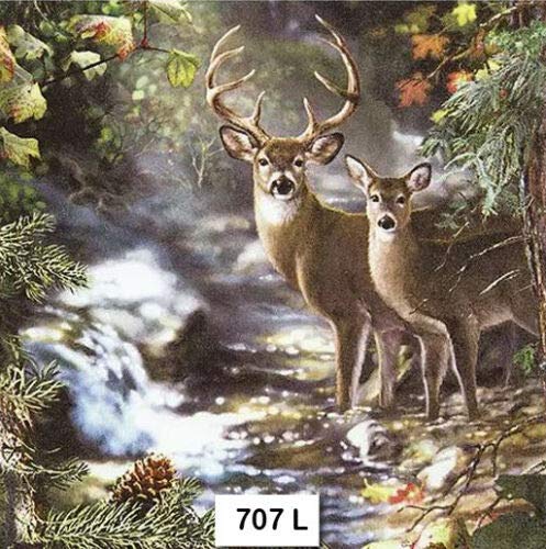 COLIBYOU (707) Two Individual Paper Luncheon Decoupage Napkins - Forest, Deer, Buck, DOE