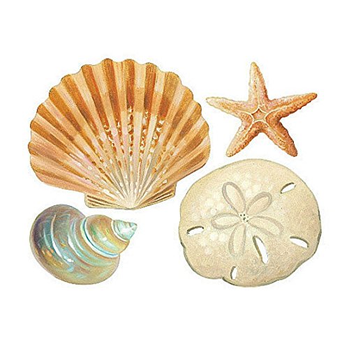 COLIBYOU Wallies Shells Wall Stickers 24 Decals Bathroom Decoration Seashells Ocean Beach