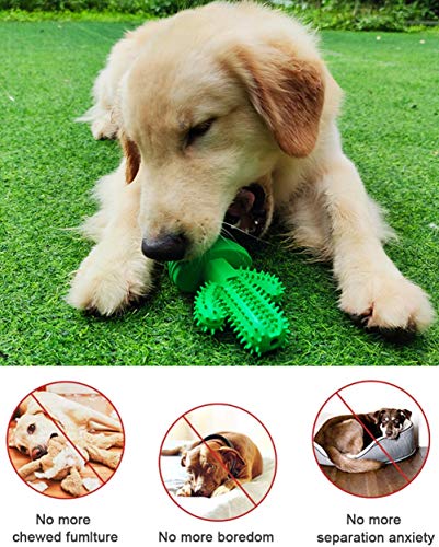 COLIBYOU Dog Toothbrush Teeth Cleaning Dog Chew Toys, Nontoxic Natural Rubber Puppy Brushing Stick Dental Oral Care for 15-50 LBS Small Medium Dogs Pets