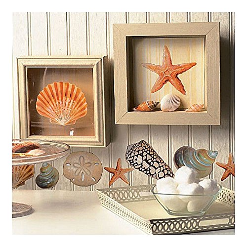 COLIBYOU Wallies Shells Wall Stickers 24 Decals Bathroom Decoration Seashells Ocean Beach